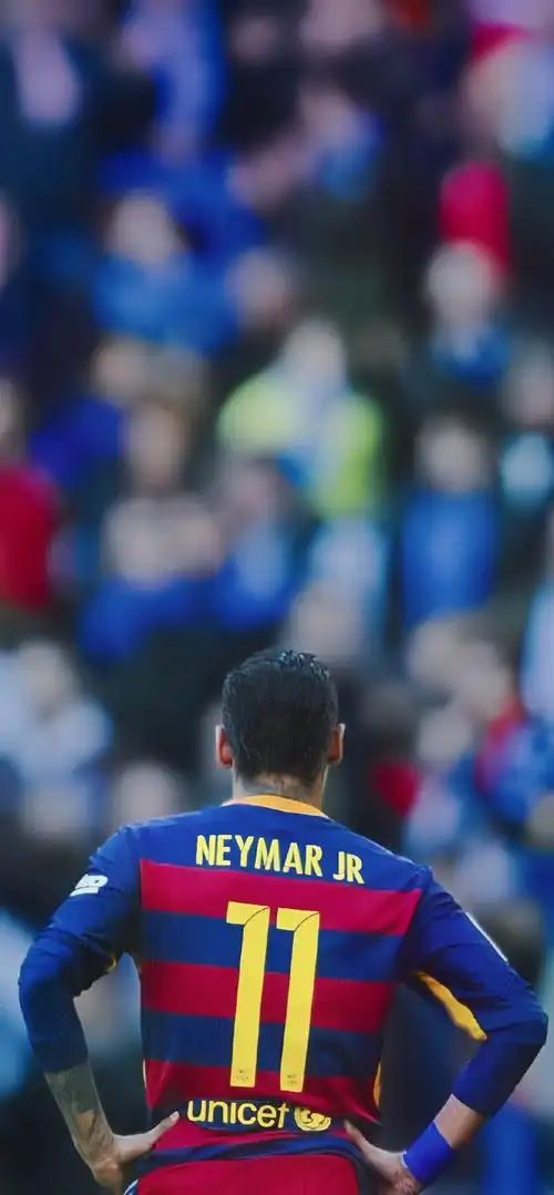 在这篇文章 在这篇文章